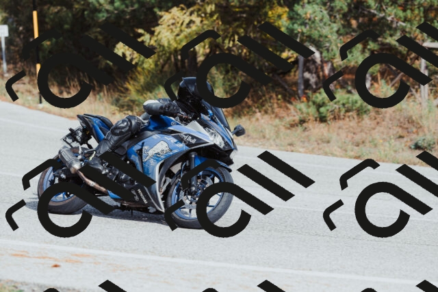 202511021456-_04A3920_c3