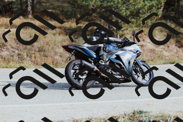 202511021456-_04A3922_c3