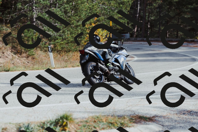 202511021456-_04A3923_c3