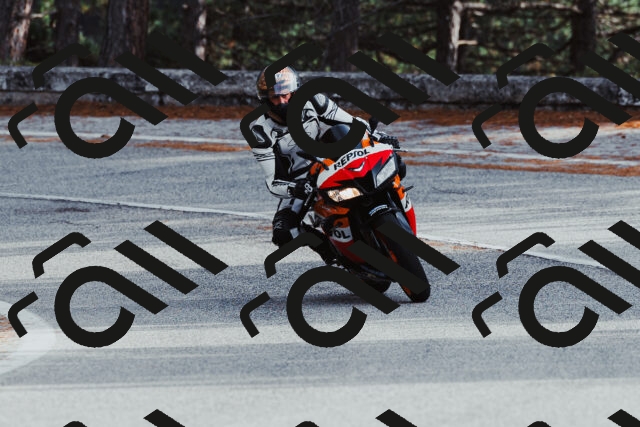 202511021458-_04A3924_c3