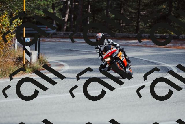 202511021458-_04A3926_c3