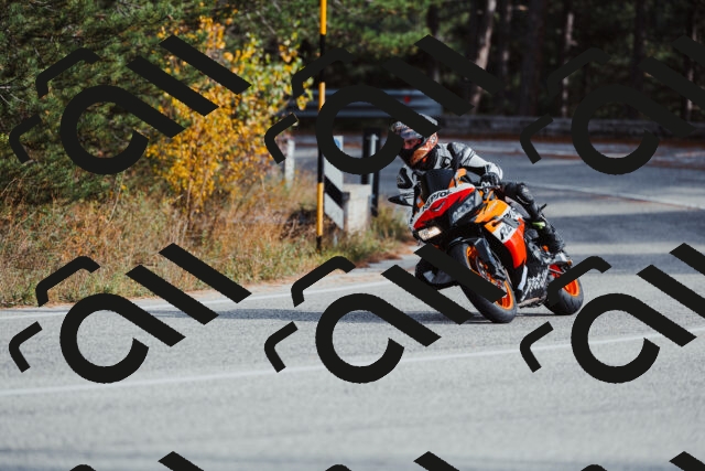 202511021458-_04A3927_c3