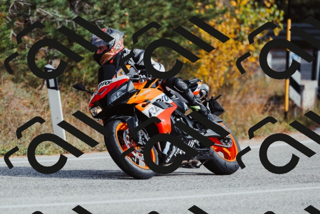 202511021458-_04A3928_c3