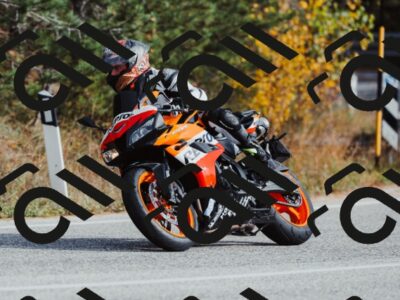 202511021458-_04A3928_c3