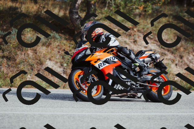 202511021458-_04A3929_c3