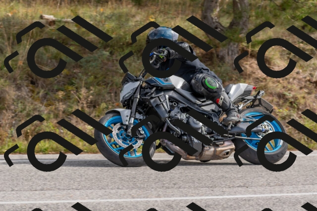 202511021200-DSC_8953_c4_