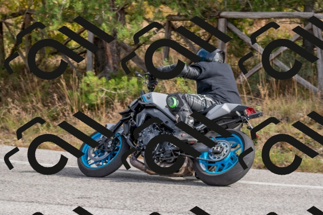 202511021200-DSC_8954_c4_