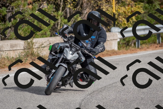 202511021201-DSC_8955_c4_