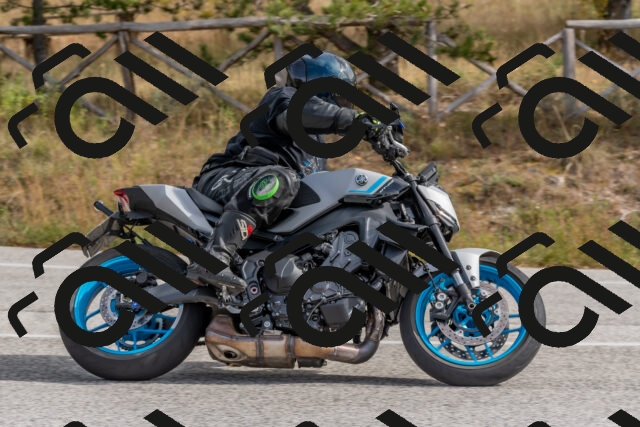 202511021201-DSC_8957_c4_