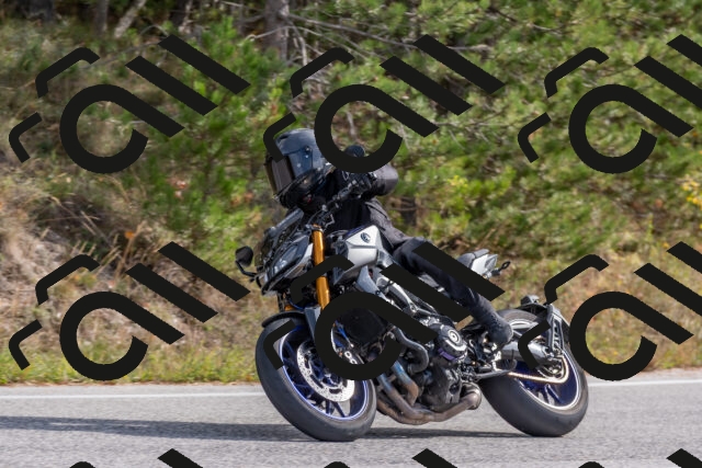 202511021205-DSC_8964_c4_