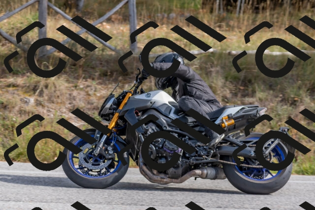 202511021205-DSC_8966_c4_