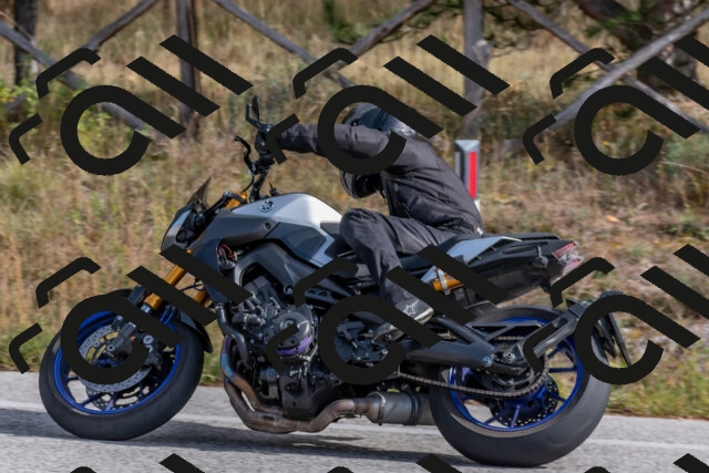 202511021205-DSC_8967_c4_