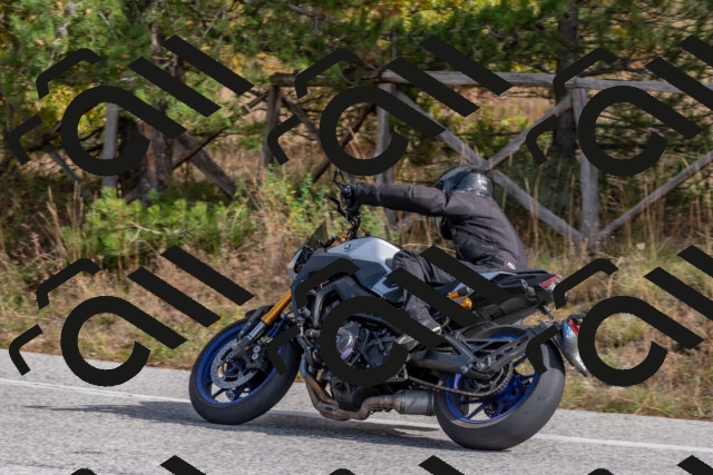 202511021205-DSC_8968_c4_