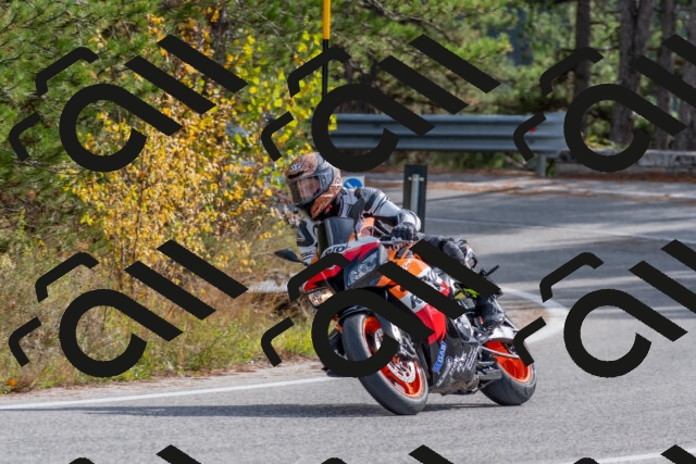 202511021206-DSC_8970_c4_