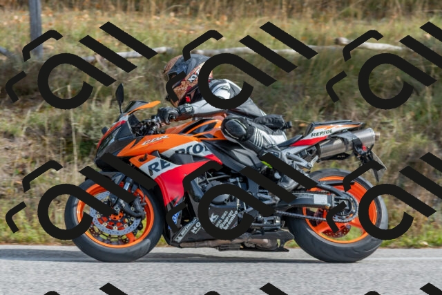 202511021206-DSC_8972_c4_