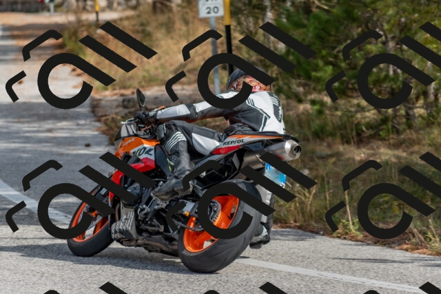 202511021206-DSC_8974_c4_