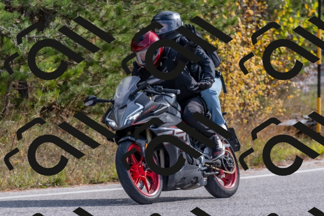 202511021206-DSC_8976_c4_