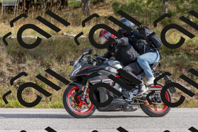 202511021206-DSC_8978_c4_