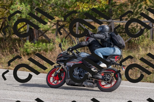 202511021206-DSC_8980_c4_