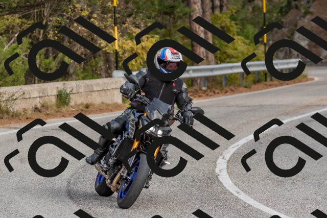 202511021211-DSC_8988_c4_