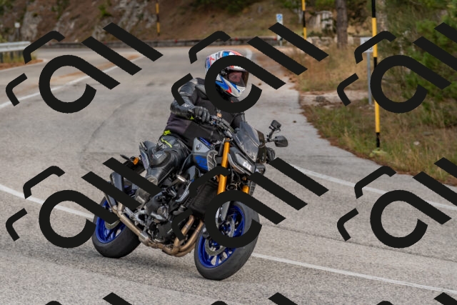 202511021211-DSC_8989_c4_