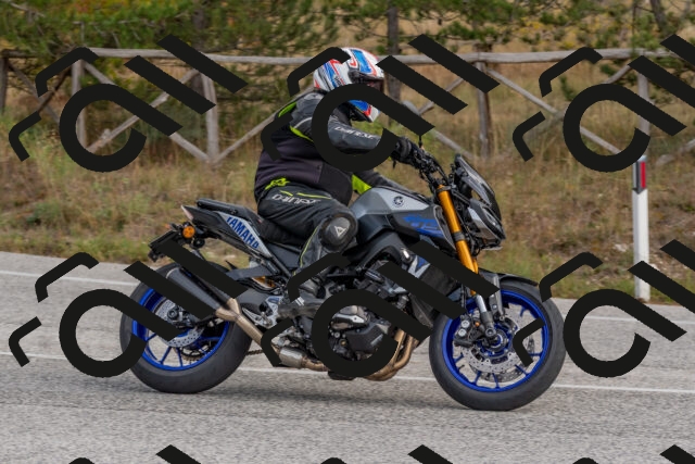 202511021211-DSC_8990_c4_