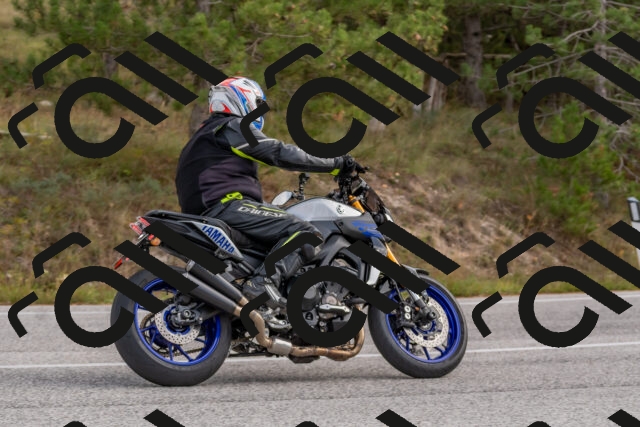 202511021211-DSC_8991_c4_