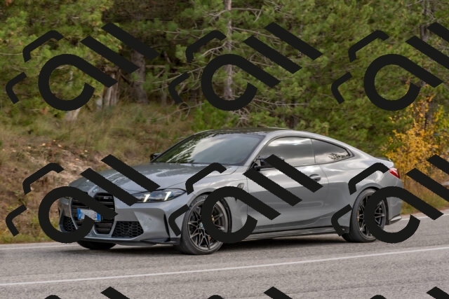 202511021213-DSC_8994_c4_