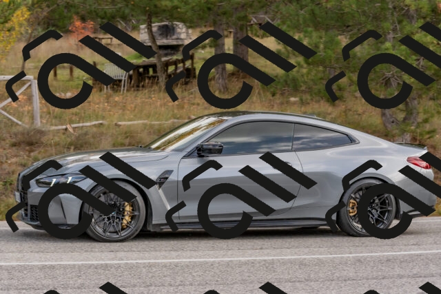 202511021213-DSC_8995_c4_