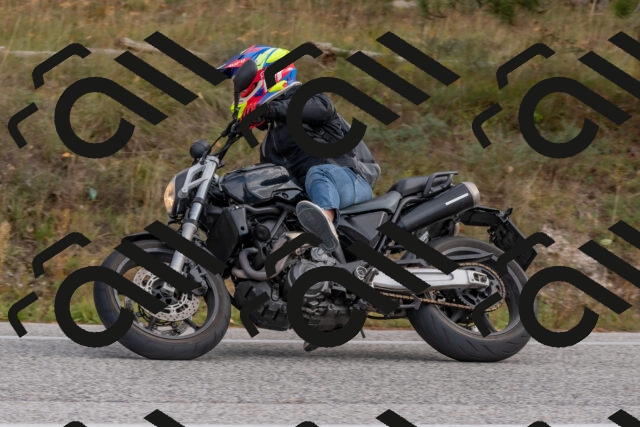 202511021214-DSC_9007_c4_