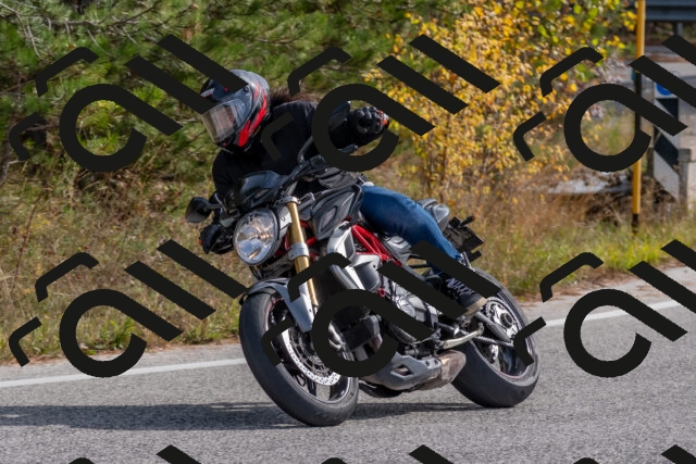 202511021219-DSC_9012_c4_