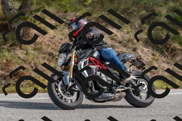 202511021219-DSC_9013_c4_