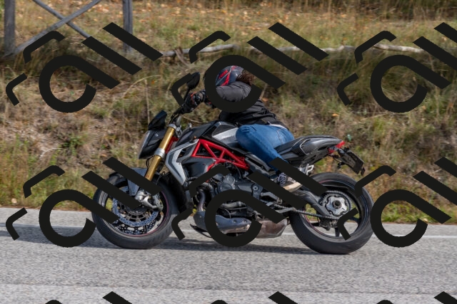 202511021219-DSC_9014_c4_