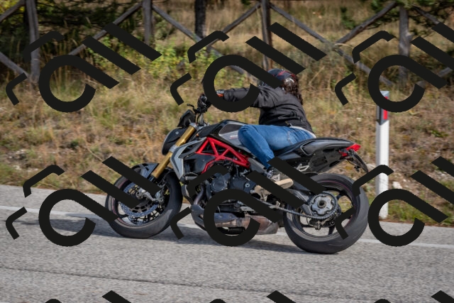 202511021219-DSC_9015_c4_