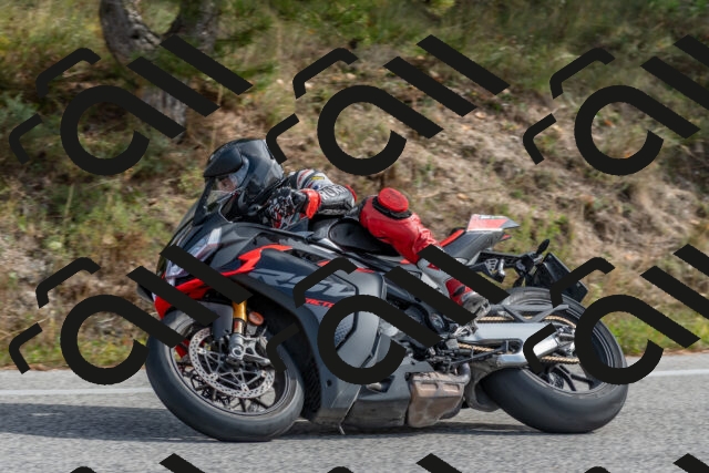 202511021221-DSC_9021_c4_