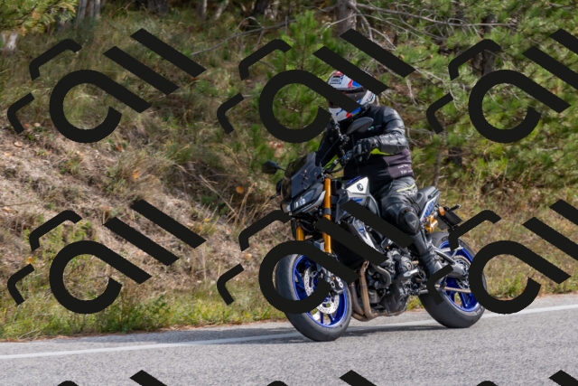 202511021223-DSC_9034_c4_