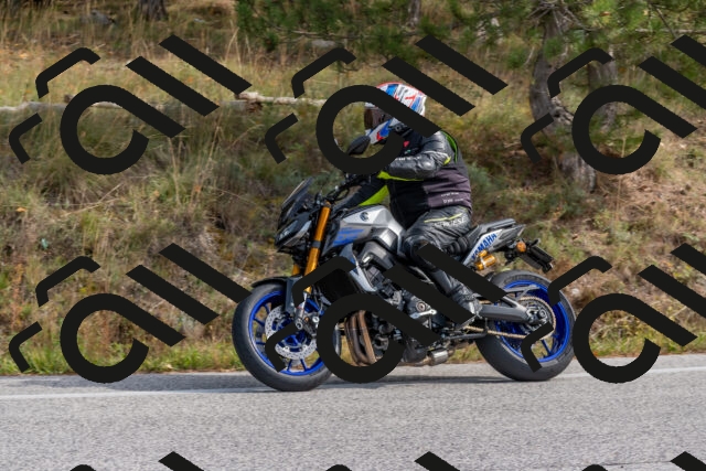 202511021223-DSC_9035_c4_