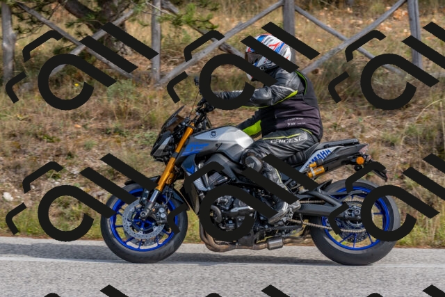 202511021223-DSC_9036_c4_