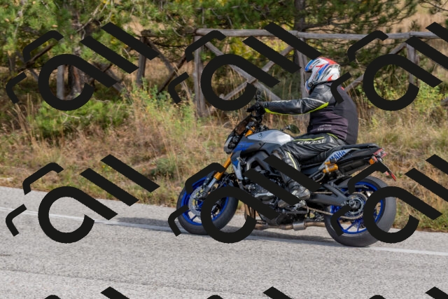 202511021223-DSC_9037_c4_