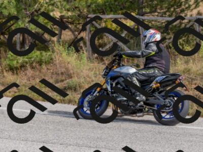 202511021223-DSC_9037_c4_