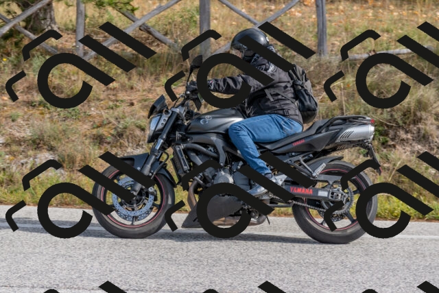 202511021224-DSC_9039_c4_