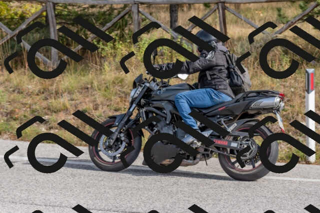 202511021224-DSC_9040_c4_