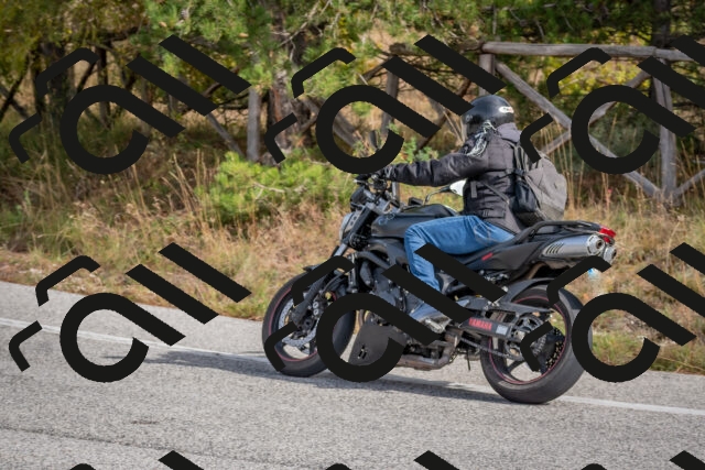 202511021224-DSC_9041_c4_