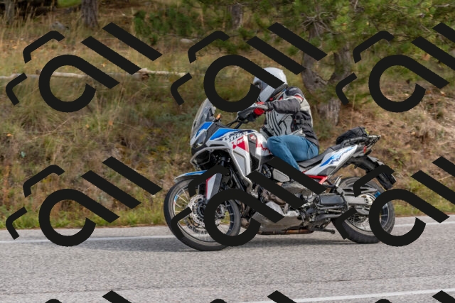 202511021230-DSC_9050_c4_