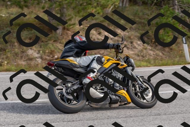 202511021230-DSC_9054_c4_