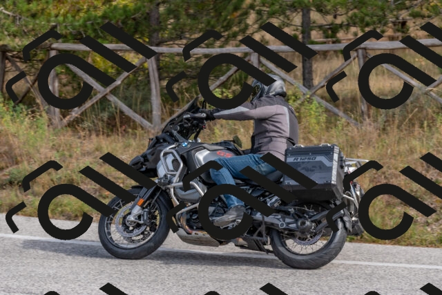 202511021230-DSC_9067_c4_