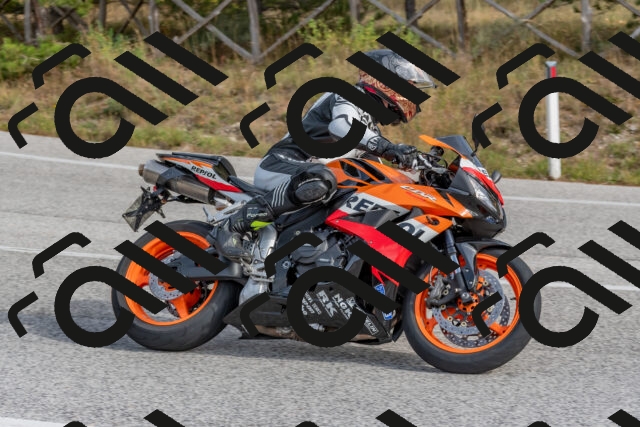 202511021230-DSC_9071_c4_