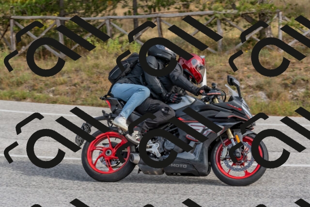 202511021230-DSC_9074_c4_