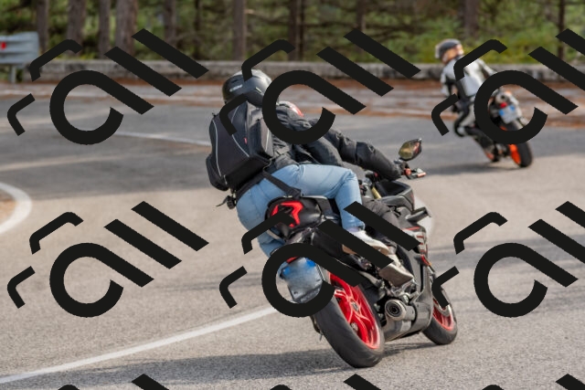 202511021230-DSC_9076_c4_