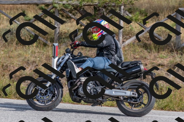 202511021232-DSC_9082_c4_